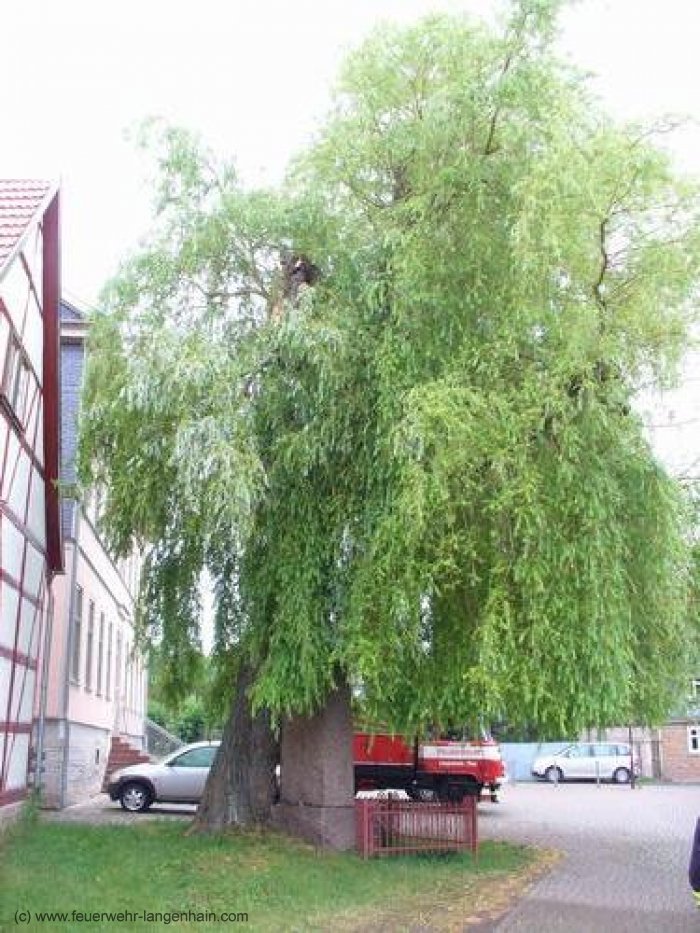 Technische Hilfeleistung Technische Hilfeleistung