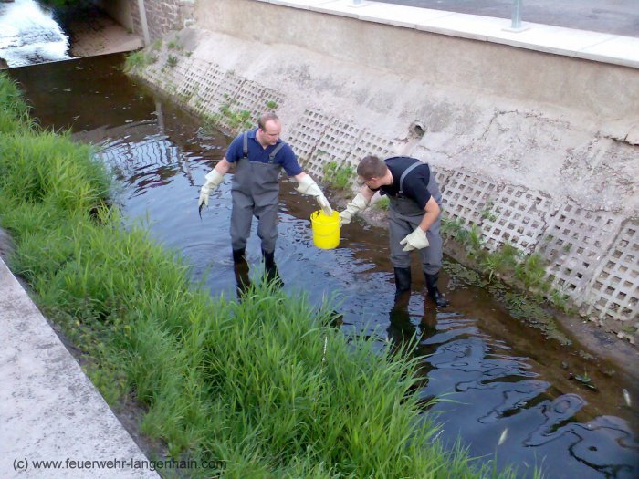 Tierrettung Tierrettung